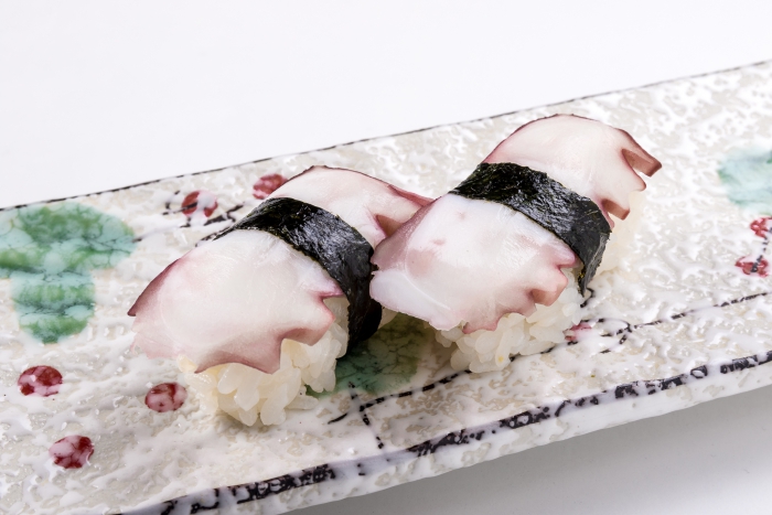 N13 Tako